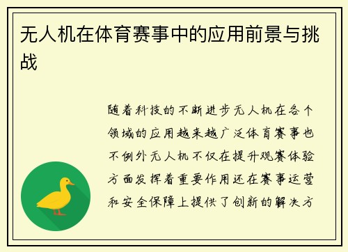 无人机在体育赛事中的应用前景与挑战